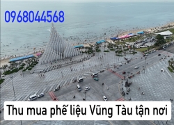 thu-mua-phe-lieu-vung-tau-uy-tin-hang-dau-thien-loc
