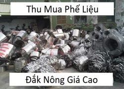 thu-mua-phe-lieu-dak-nong-gia-cao-xem-gia-phe-lieu-moi-