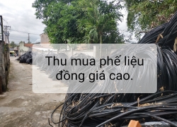 thu-mua-phe-lieu-dong-gia-cao-hon-30-so-voi-cac-don-vi-khac-tai-binh-duongbam-xem-ngay-hnay