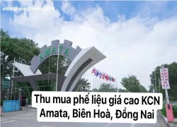 diem-thu-mua-phe-lieu-tai-kcn-amata-bien-hoa-dong-nai
