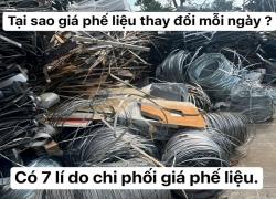 tai-sao-gia-phe-lieu-bien-dong-lien-tuc-khong-ngung-nghi