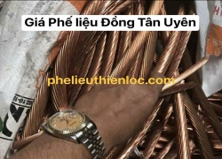 gia-dong-phe-lieu-hom-nay-tai-tan-uyen-2026-tai-sao-co-su-chenh-lech
