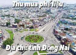 don-vi-thu-mua-phe-lieu-dong-nai-gia-cao-lau-nam-noi-tieng