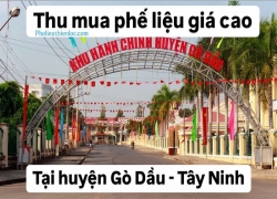 dich-vu-thu-mua-phe-lieu-go-dau-tay-ninh-tan-noi-uy-tin-0968-044-568