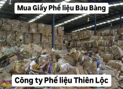 mua-phe-lieu-giay-gia-moi-nhat-hom-nay-huyen-bau-bang-binh-duong