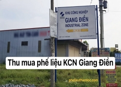 nha-thau-thu-mua-phe-lieu-kcn-giang-dien-phe-lieu-cong-nghiep-thien-loc