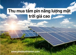 thu-mua-tam-pin-nang-luong-mat-troi-gia-cao-tren-toan-quoc