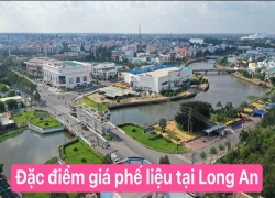 tai-sao-gia-phe-lieu-tinh-long-an-cao-nhat-so-voi-cac-tinh-mien-tay-khac