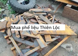 mua-phe-lieu-binh-duong-gia-cao-bam-xem-ngay-gia-phe-lieu-moi-nhat-2019