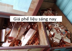 bang-gia-phe-lieu-sang-nay-gia-phe-lieu-sat-thep-dong-nhom-inox-nhua-giay-moi-nhat-nam-2020