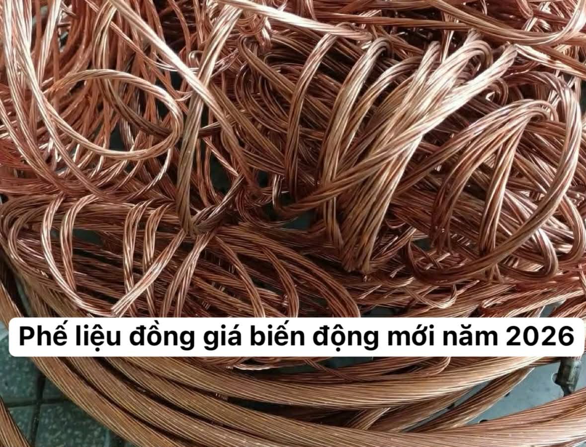 gia-phe-lieu-dong-co-su-thay-doi-lon-o-nam-2026-thien-loc