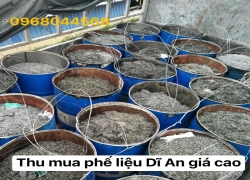 thu-mua-phe-lieu-di-an-tan-noi-uy-tin-gia-moi-nam-2026-
