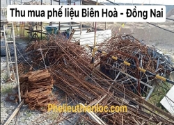 diem-thu-mua-phe-lieu-dong-nai-bien-hoa-cap-nhat-1-phut-truoc