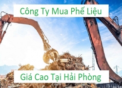 thu-mua-phe-lieu-hai-phong-gia-cao-top-1-thien-loc