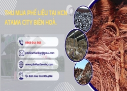 diem-thu-mua-phe-lieu-tai-kcn-amata-bien-hoa-dong-nai