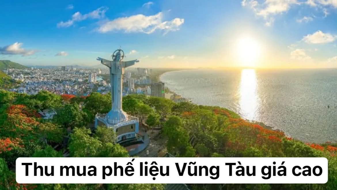 thu-mua-phe-lieu-vung-tau-tan-noi-tron-goi-mien-phi-van-chuyen