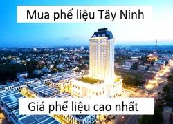 xem-gia-phe-lieu-hom-nay-thu-mua-phe-lieu-tay-ninh-gia-cao-nhat