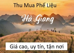 thu-mua-phe-lieu-ha-giang-gia-cao-xem-gia-phe-lieu-moi-