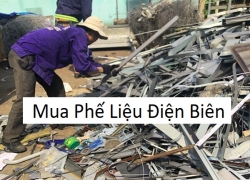 thu-mua-phe-lieu-dien-bien-gia-cao-xem-gia-phe-lieu-moi-