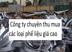 thu-mua-phe-lieu-sat-vun-dong-nhom-inox-nhua-giay-gia-cao