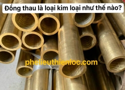 dong-thau-la-gi-gia-dong-thau-phe-lieu-hom-nay-la-bao-nhieu-