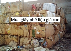 thu-mua-giay-phe-lieu-gia-cao-cam-ket-gia-cao-hon-50-so-voi-cac-don-vi-khac-