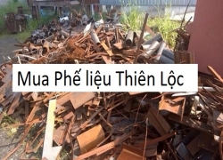 thu-mua-phe-lieu-gia-cao-top-1-thi-truong-gia-phe-lieu-mua-cao-nhat-2020-