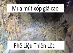 thu-mua-mut-xop-gia-cao-uy-tin-tai-binh-duong-tp-hcm-dong-nai-long-an-