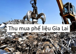 thu-mua-phe-lieu-gia-lai-gia-cao-xem-gia-phe-lieu-moi-