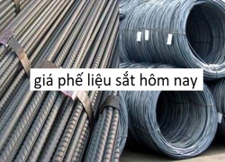 thu-mua-phe-lieu-sat-gia-cao-so-1--bao-gia-phe-lieu-sat-cao-nhat-hnay