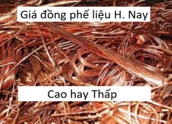 gia-dong-phe-lieu-bao-nhieu-tien-1kg-gia-dong-cap-dong-do-dong-vang-hom-nay-cao-hay-thap-