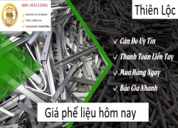 gia-thu-mua-phe-lieu-hom-nay-t052020-moi-nhat-uy-tin-nhat-gia-cao-nhat-thi-truong-