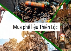 thu-mua-phe-lieu-gia-cao-tren-50-nam-2021-hoa-hong-hap-dan