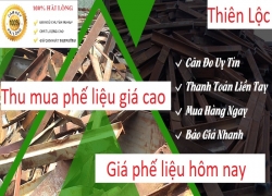 gia-phe-lieu-hom-nay-moi-nhat-2020-uy-tin-chuyen-nghiep-gia-cao-