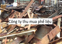 cong-ty-mua-phe-lieu-gia-cao-nhat-cam-ket-gia-cao-hon-50-so-voi-cac-don-vi-khac-