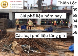 gia-phe-lieu-hom-nay-moi-nhat-tang-manh-sat-vun-dong-nhom-inox-nhua-giay--bam-xem-ngay-h-nay