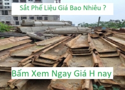 sat-phe-lieu-gia-bao-nhieu-cong-ty-mua-sat-gia-cao-nhat-top-1-